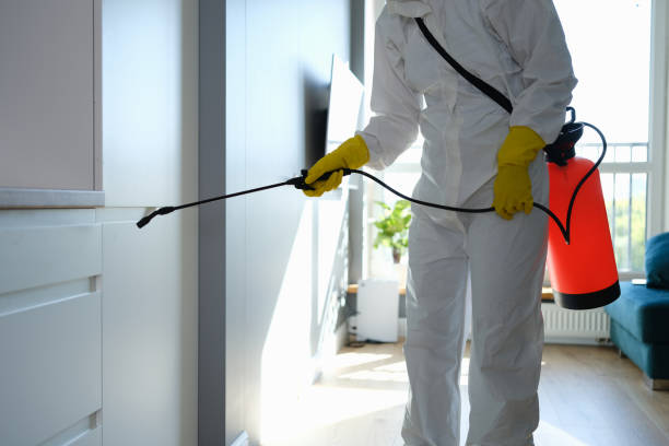 Best Mold Remediation  in Sigourney, IA