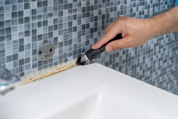 Best Best Mold Removal Companies  in Sigourney, IA