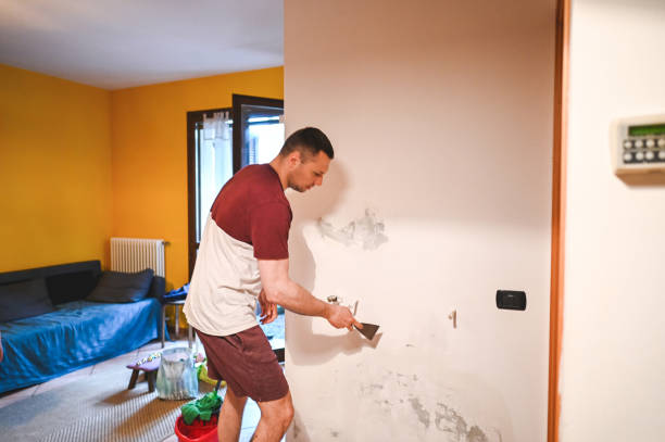 Best Mold Cleaning Services  in Sigourney, IA